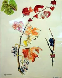 peinture : Rameau de vigne