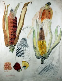 peinture : GC-270