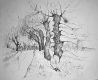 peinture : Arbres à Chateauneuf n°2
