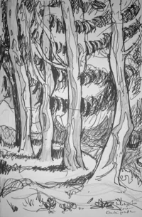 peinture : Eucalyptus n°1. Corse